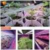 Led linéaire agricole de 40 watts élèvent la lumière pour les plantes en pot