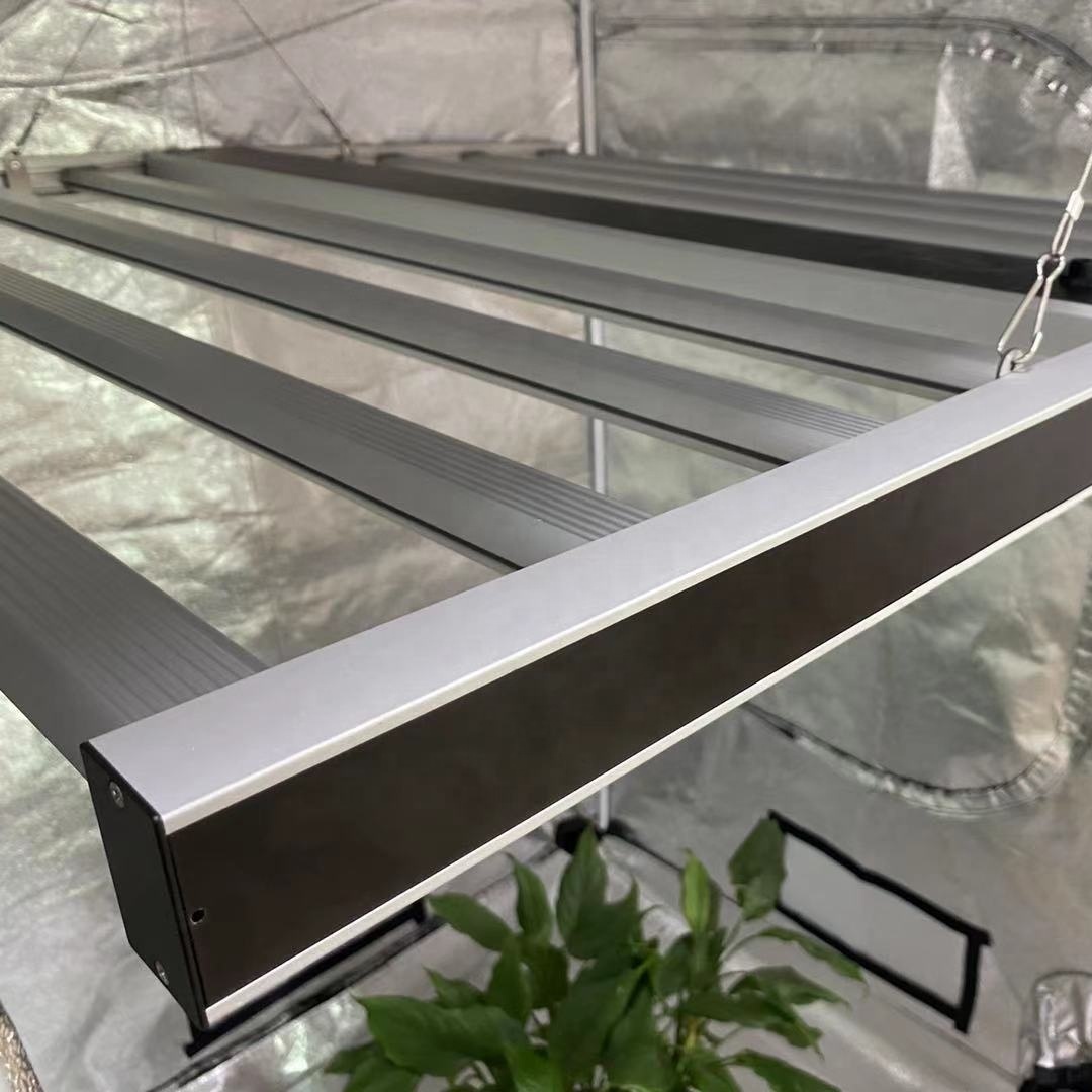 Commercial 1000W LED Grow Light for succulents
