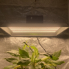 Jardin intelligent LED Cultiver la lumière pour les plantes tropicales