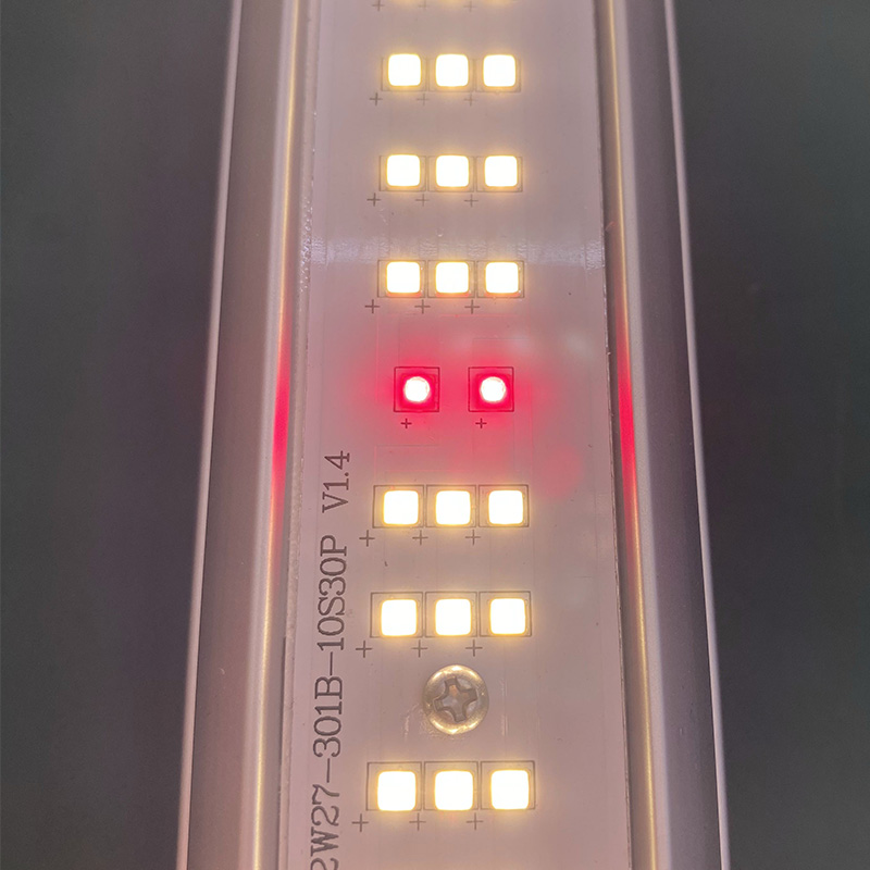 Linéaire agricole 100w LED élèvent la lumière pour les plantes en pot