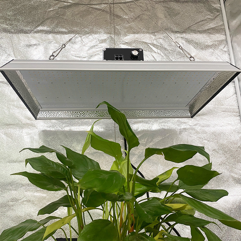 Lampe de culture à LED à spectre complet 200w pour plantes en pot