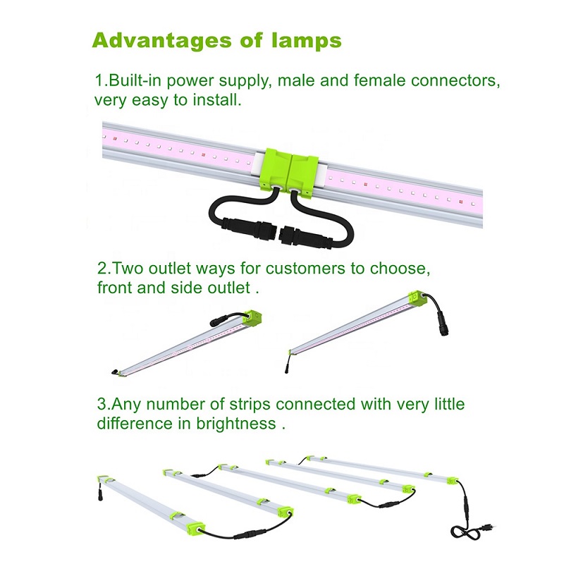 Lampe de croissance à LED linéaire haute performance de 60 watts pour orchidées